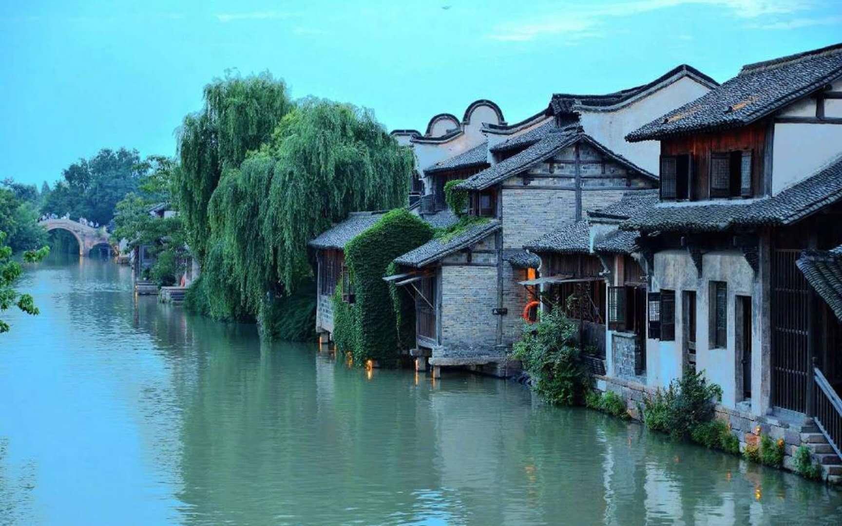 逃出熊蜂森林